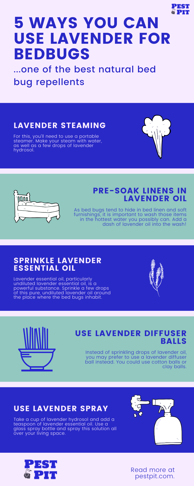 5 ways you can use LAVENDER for bedbugs Infographic