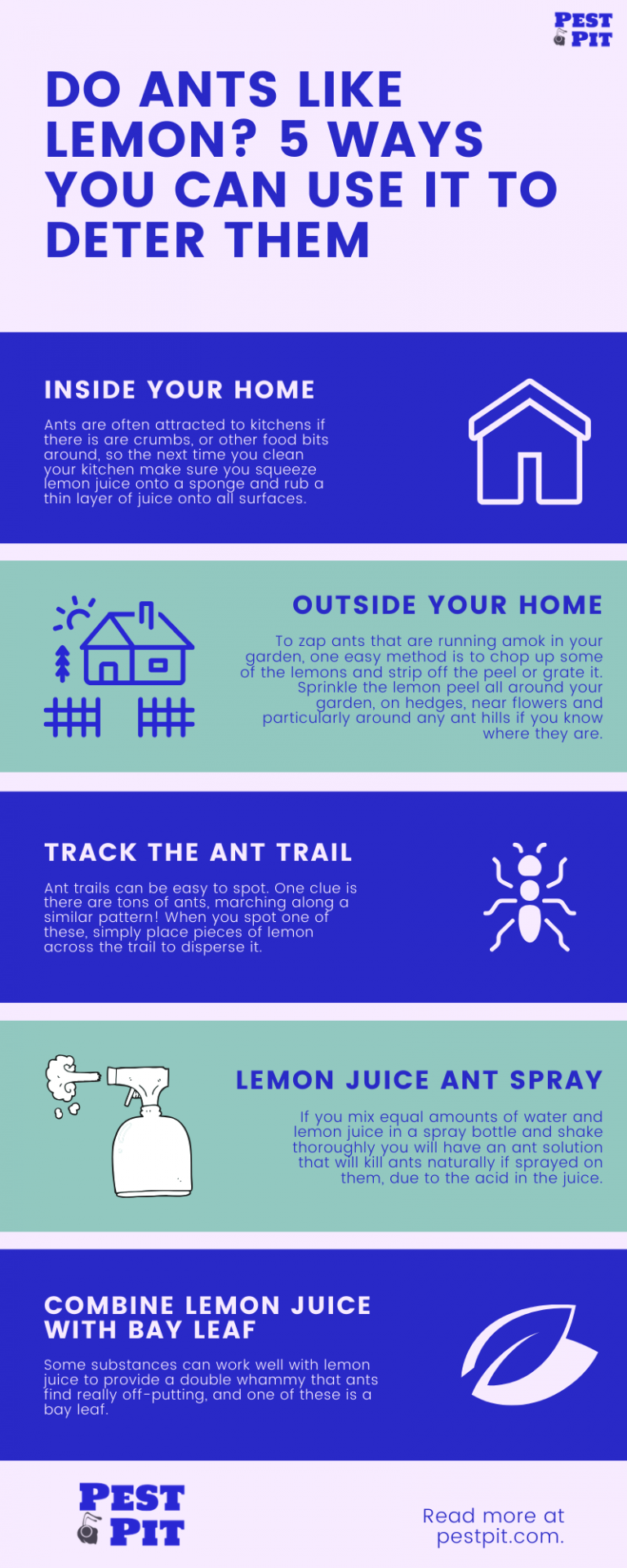 Do Ants Like Lemon? 5 Ways You Can Use It To Deter Them Pest Control