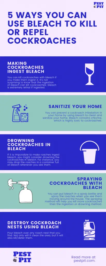 Does Bleach Kill Cockroaches 5 Ways Infographic