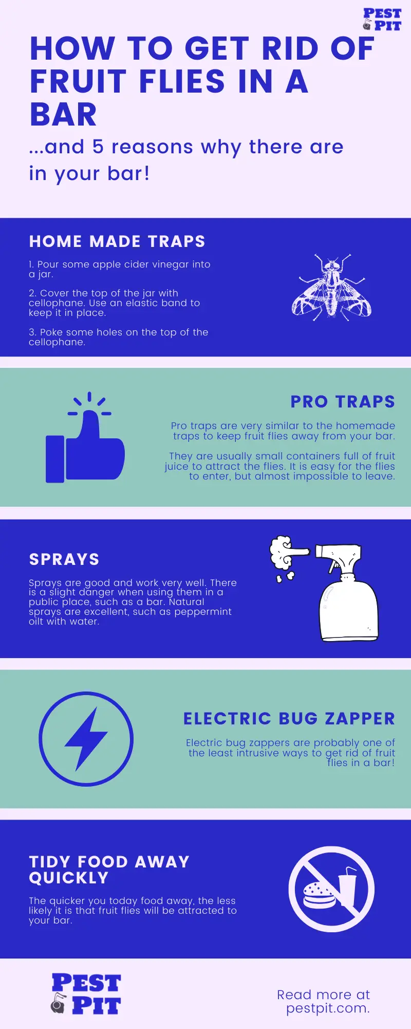 How To Get Rid Of Fruit Flies In A Bar Infographic