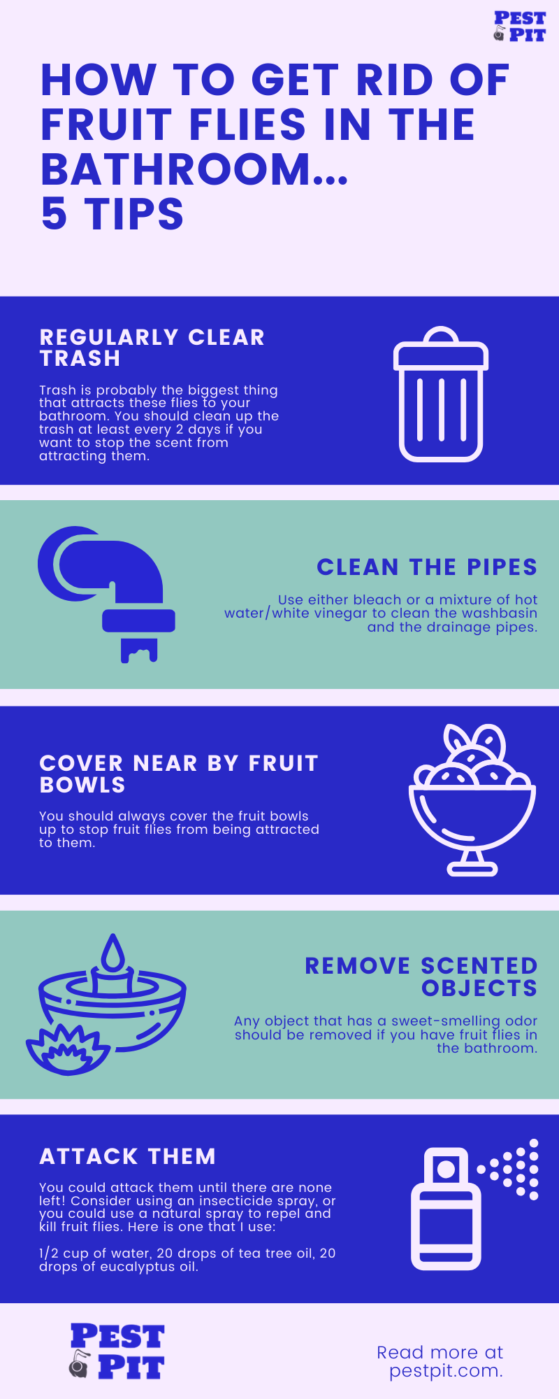 How To Get Rid Of Fruit Flies In The Bathroom Infographic