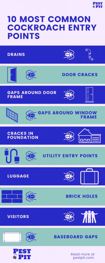 10 Most Common Cockroach Entry Points