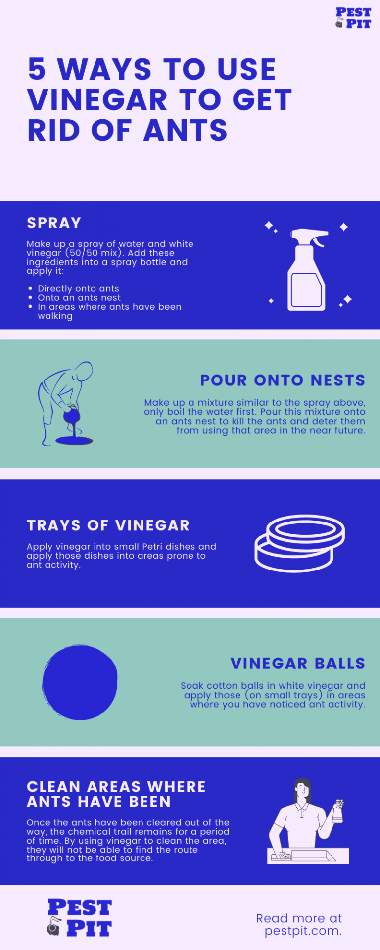 how to get rid of ants in the house quickly vinegar