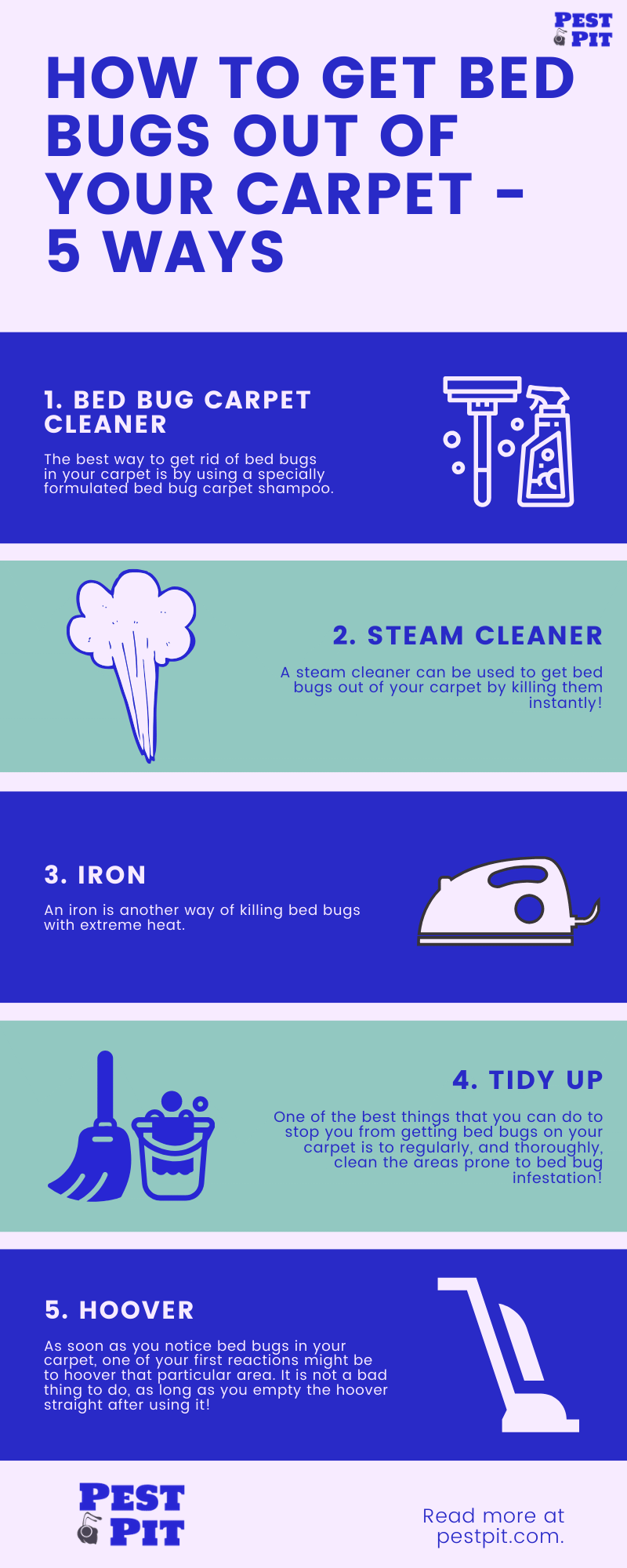 How To Get Bed Bugs Out Of Your Carpet Infographic