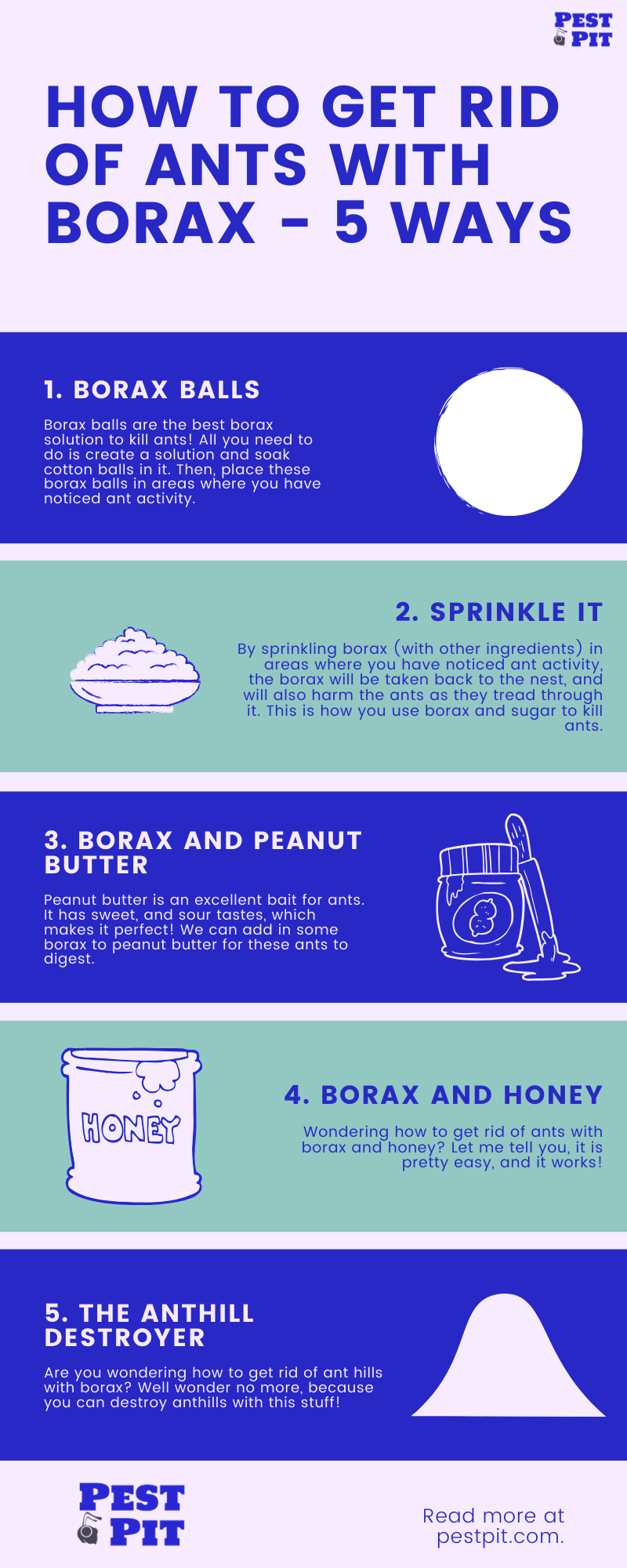 How To Get Rid Of Ants With Borax - 5 Ways 2 How To Get Rid Of Ants With Borax Infographic