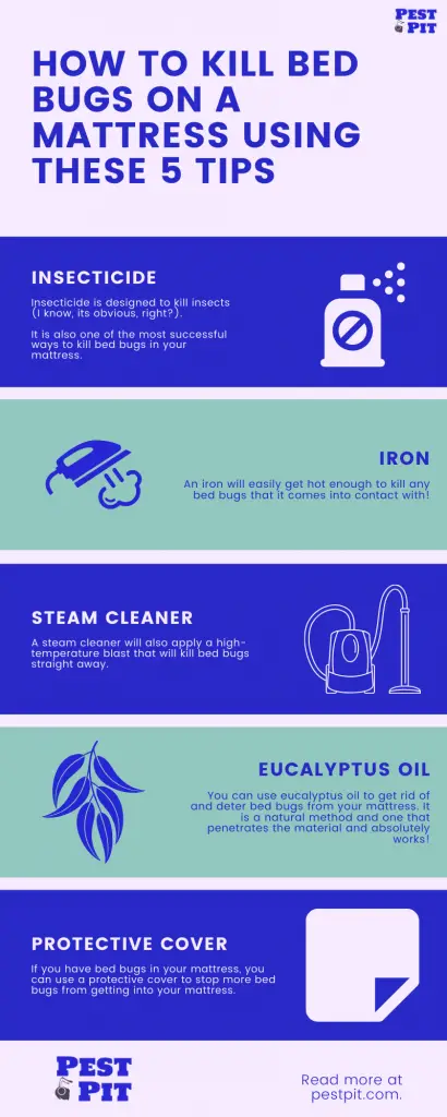 How To Kill Bed Bugs on a Mattress 5 Tips Infographic