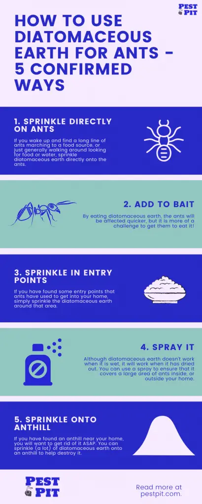 How To Use Diatomaceous Earth For Ants Infographic