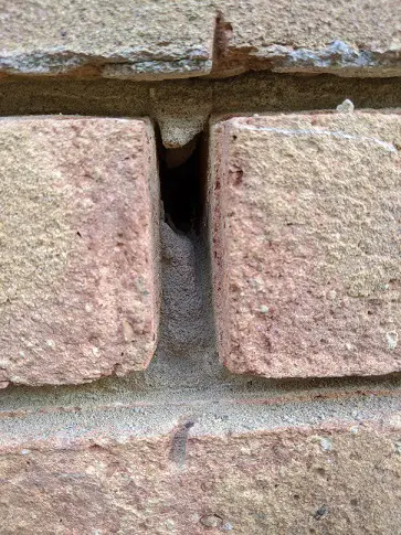 brick hole cockroach entry point