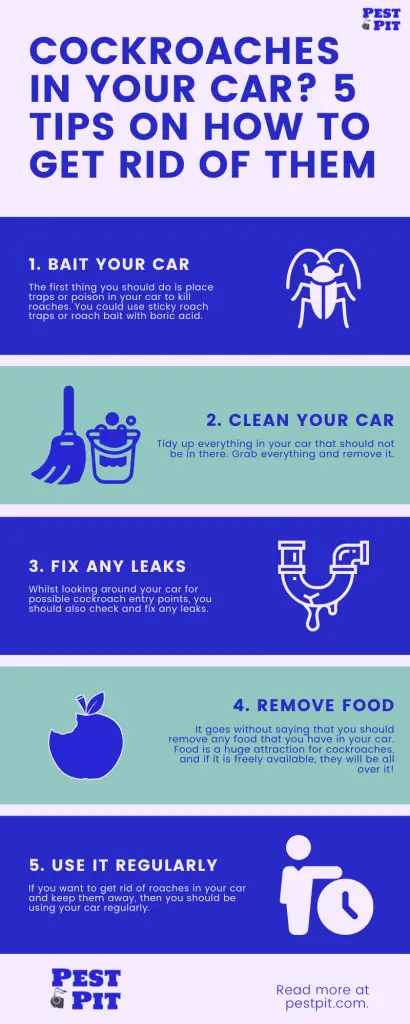 how to get rid of cockroaches in your car infographic