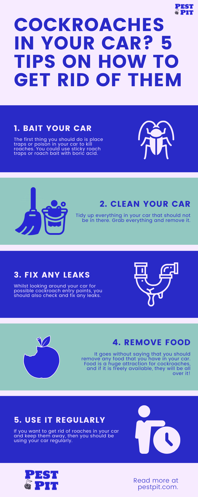 how to get rid of cockroaches in your car infographic