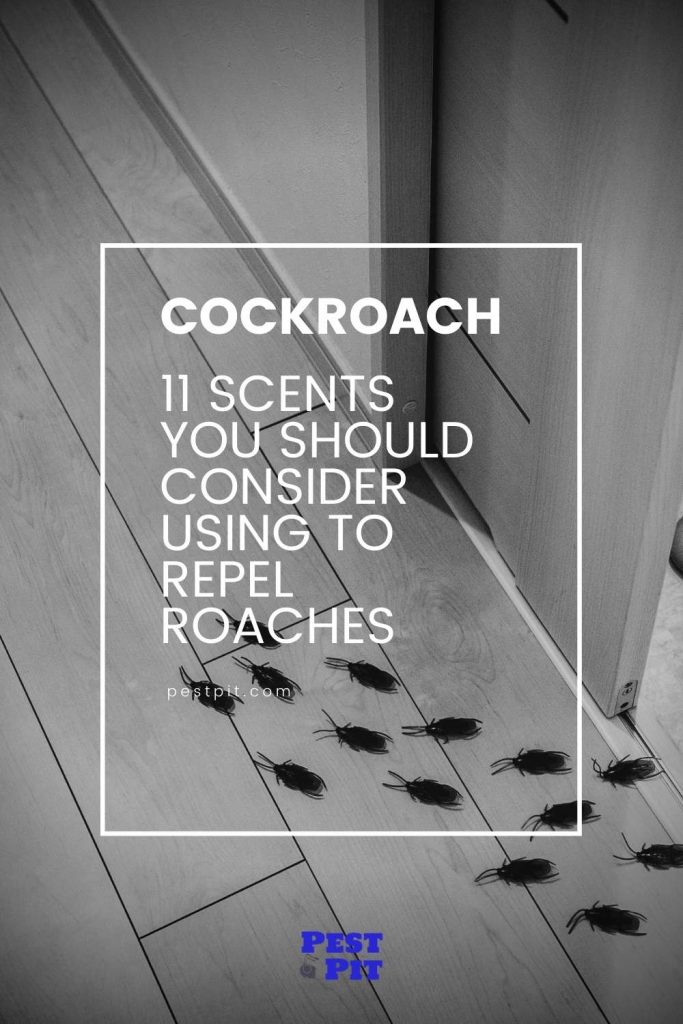 scents to repel roaches