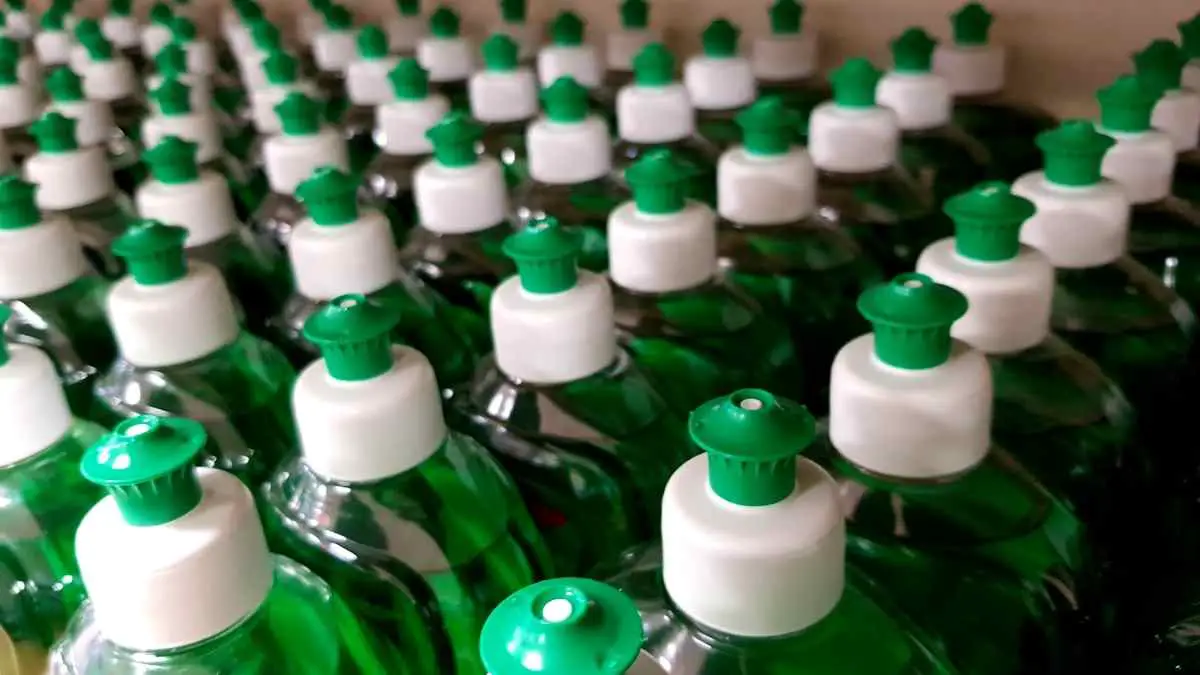 How To Get Rid Of Maggots In Your Carpet Pest Pit