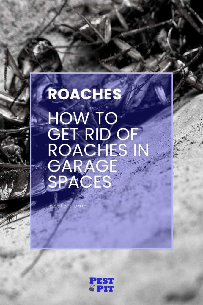 How To Get Rid Of Roaches In Garage Spaces