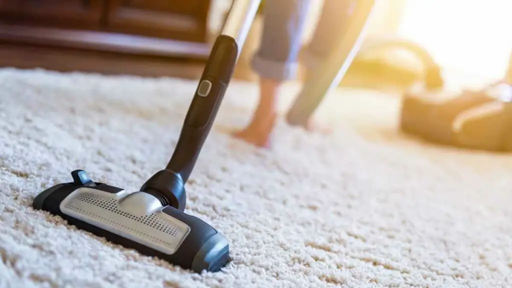 vacuum carpet