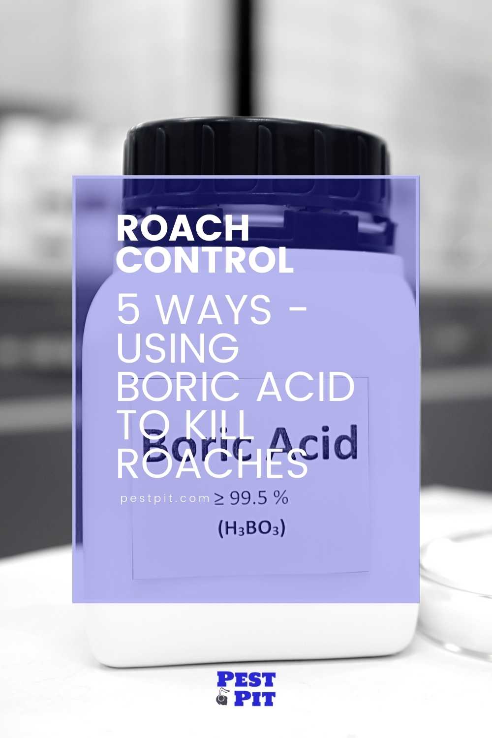 5 Ways - Using Boric Acid To Kill Roaches