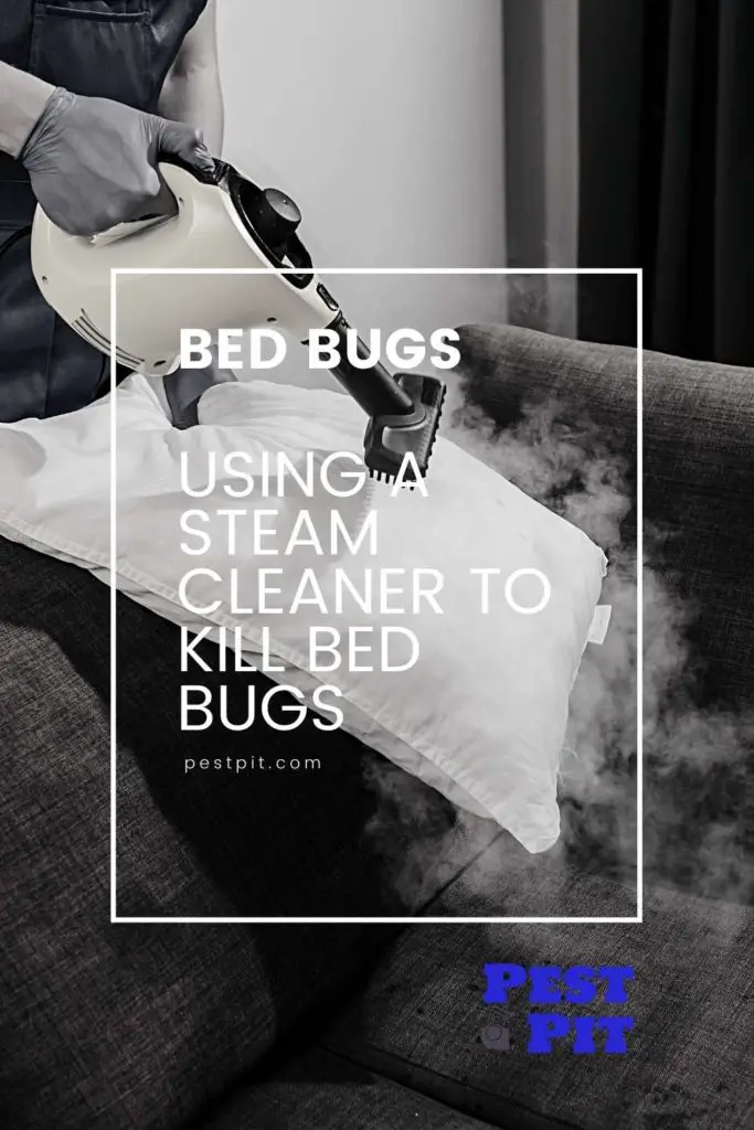 Using A Steam Cleaner To Kill Bed Bugs