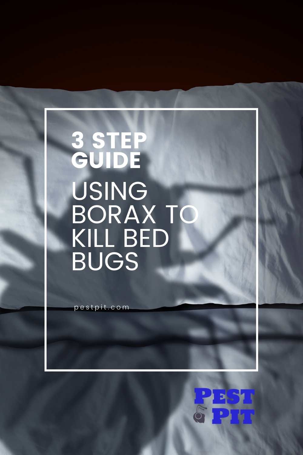 Using Borax To Kill Bed Bugs