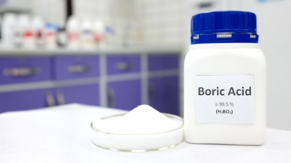 boric acid - for pest control