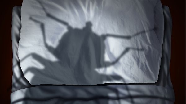 shadow of bed bug on bed