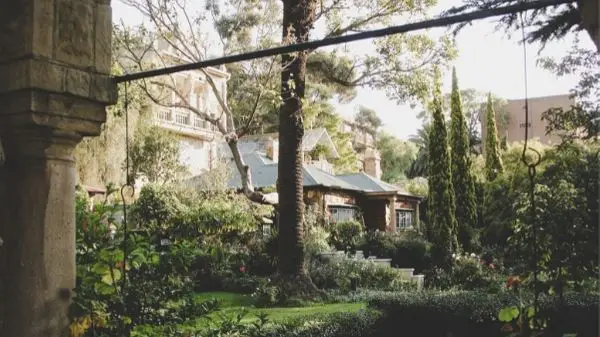 house near a number of trees