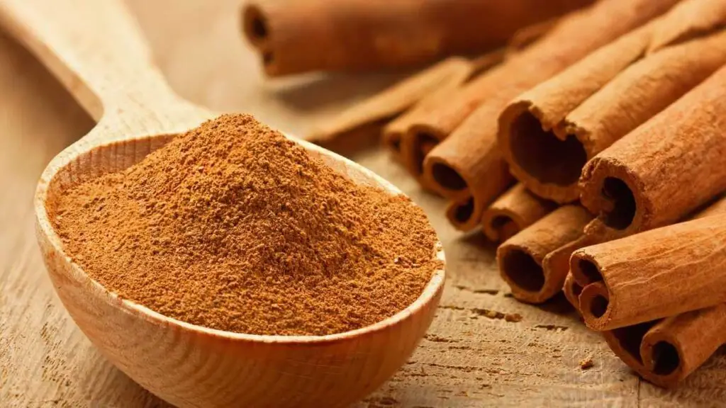 Cinnamon in wooden spoon