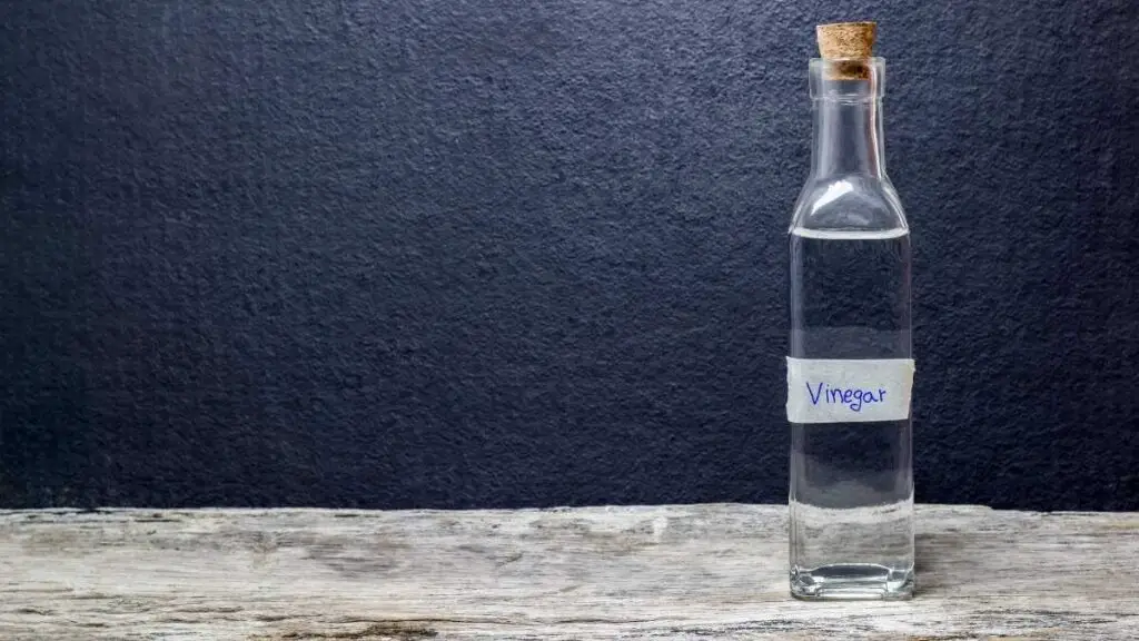 bottle of vinegar