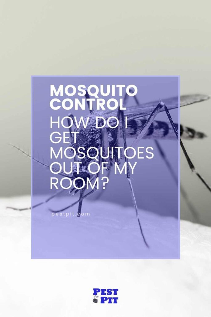 How Do I Get Mosquitoes Out Of My Room