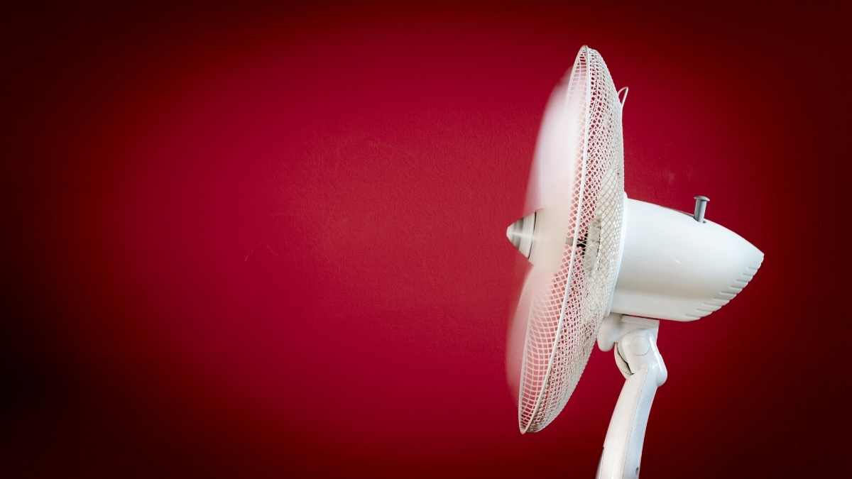 How Do I Get Mosquitoes Out Of My Room? Use These 8 Tips Pest Pit