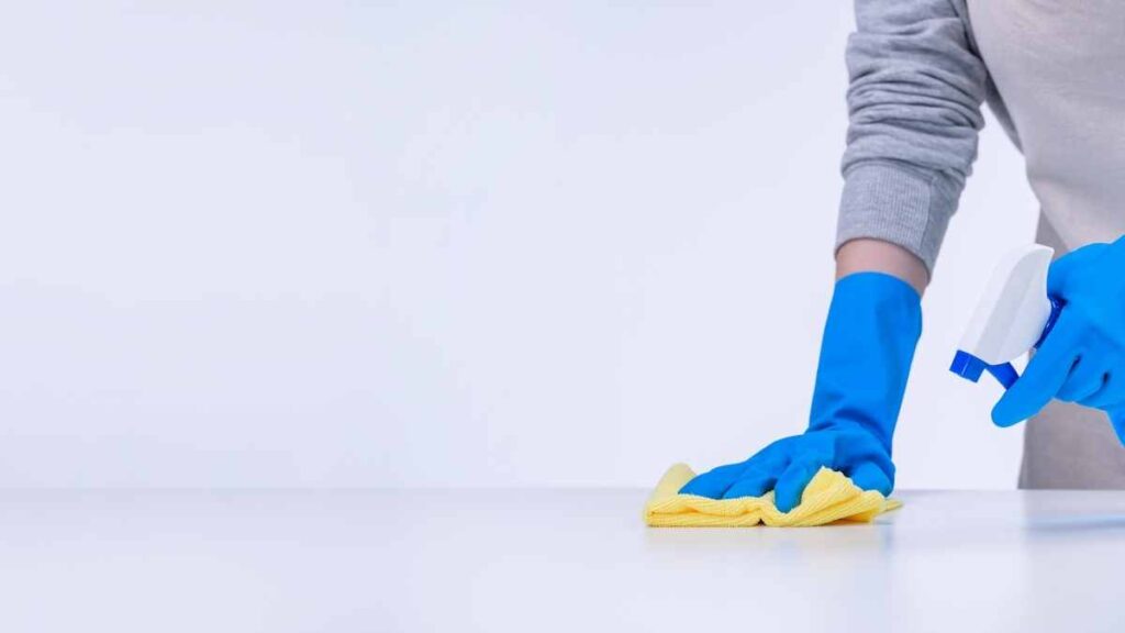 person cleaning kitchen surface