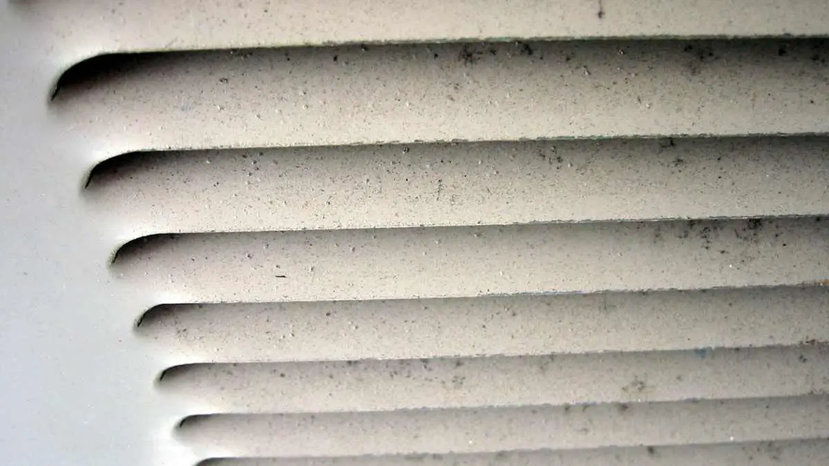 Gnat Entry Points 5 Ways Gnats Get Into Homes Pest Pit