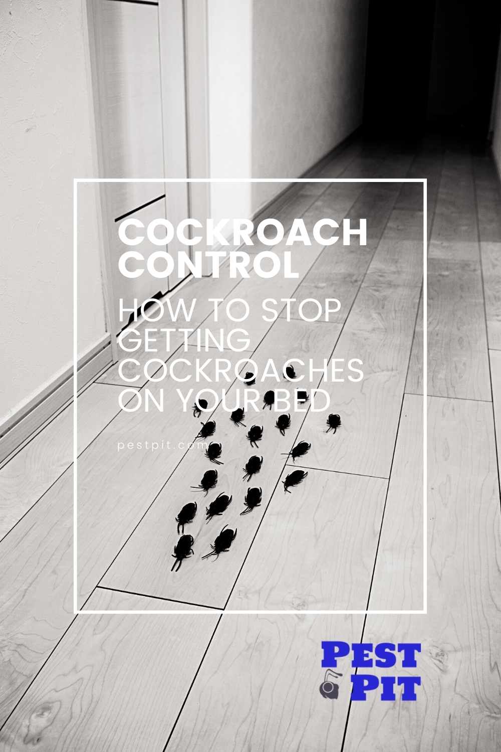 How To Stop Getting Cockroaches On Your Bed (1)