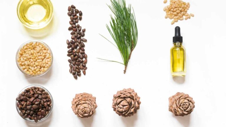 Get Rid Of Gnats With These 6 Essential Oils - Pest Pit - Essential Oils For Gnat Control In Planters