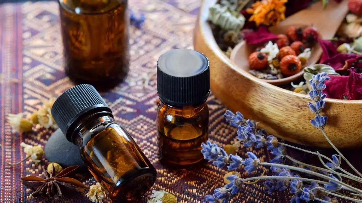 Get Rid Of Gnats With These 6 Essential Oils