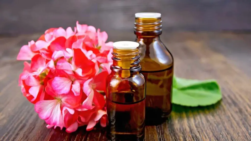 geranium essential oil