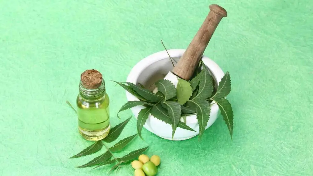 neem essential oil