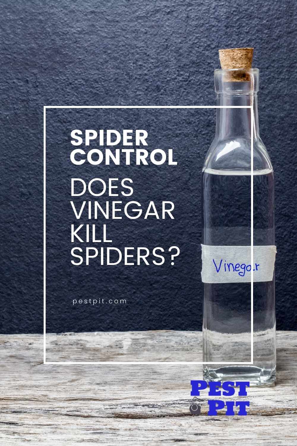 Does Vinegar Kill Spiders
