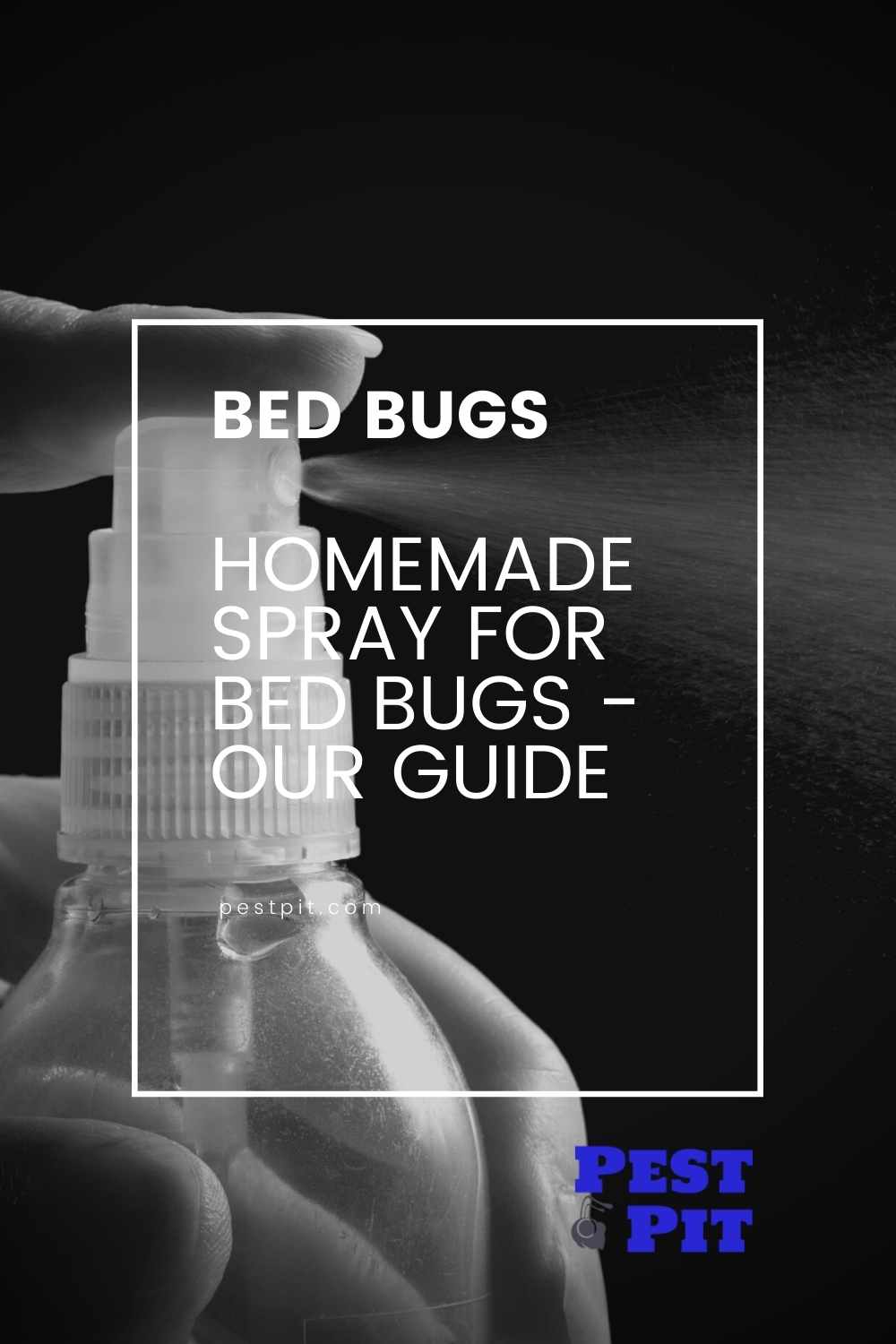 Homemade Spray for Bed Bugs (1)