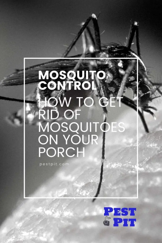 How To Get Rid Of Mosquitoes On Your Porch