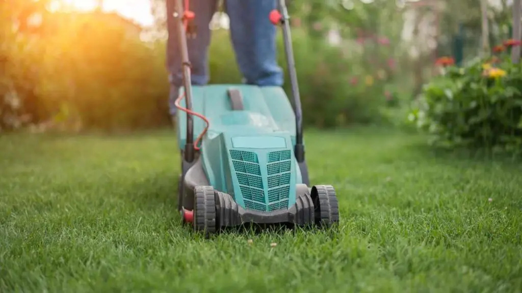 Mowing the Lawn