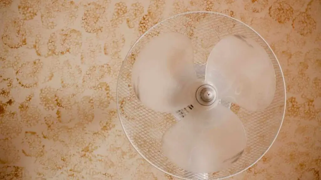 oscillating fan