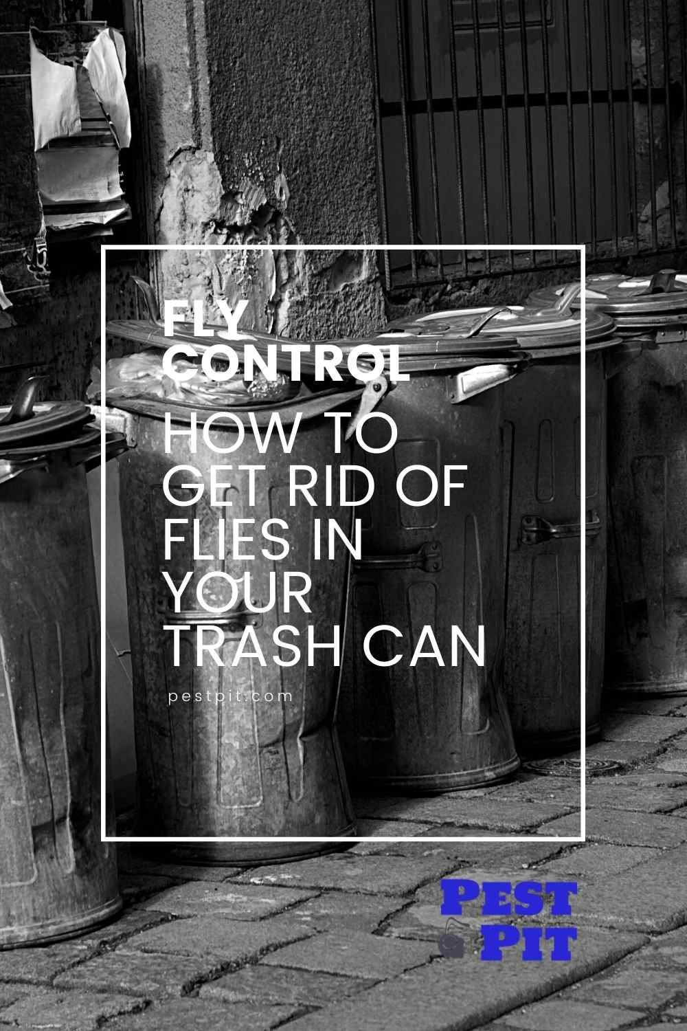 How To Get Rid Of Flies In Your Trash Can Pest Pit
