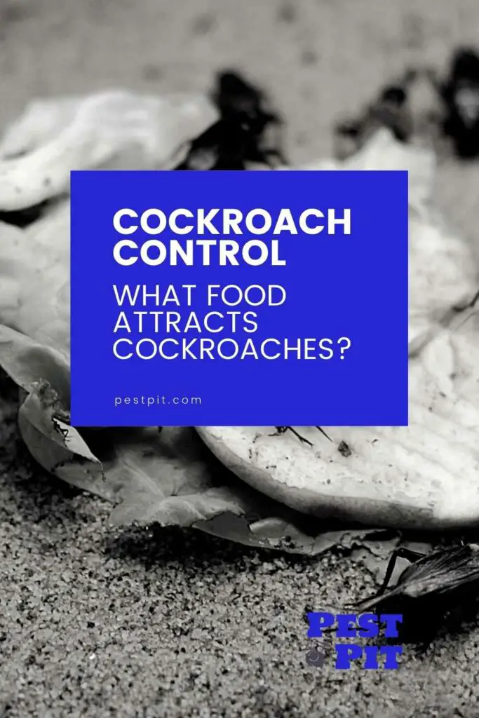What Food Attracts Cockroaches