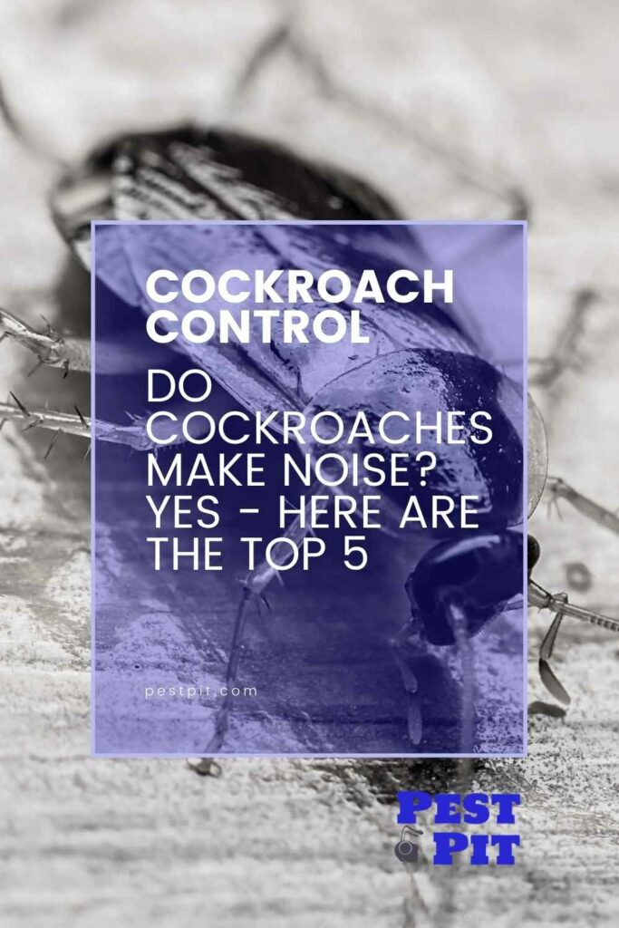 Do Cockroaches Make Noise Yes - Here Are The Top 5
