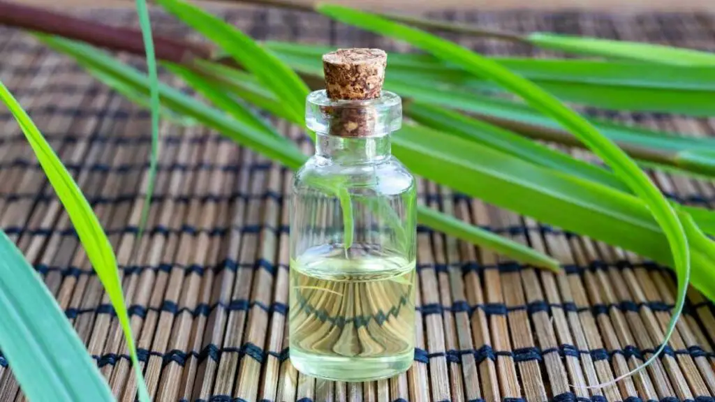 lemongrass oil