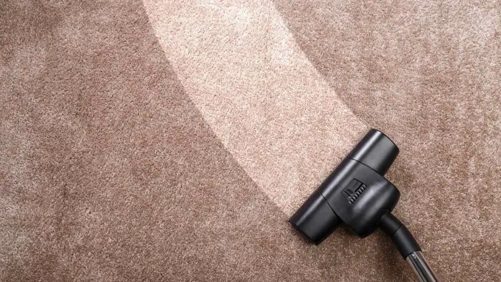 carpet vacuum