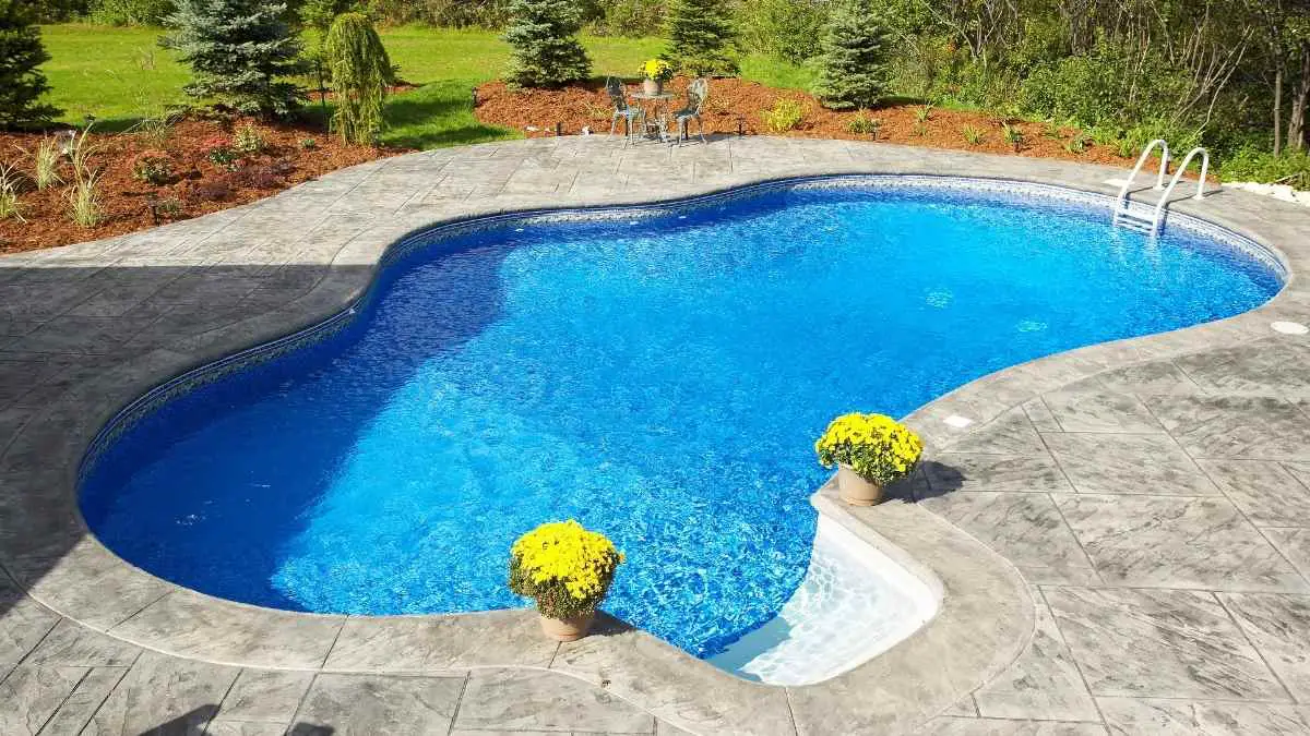 How To Get Rid Of Ants Around Pool Areas Our Guide Pest Pit
