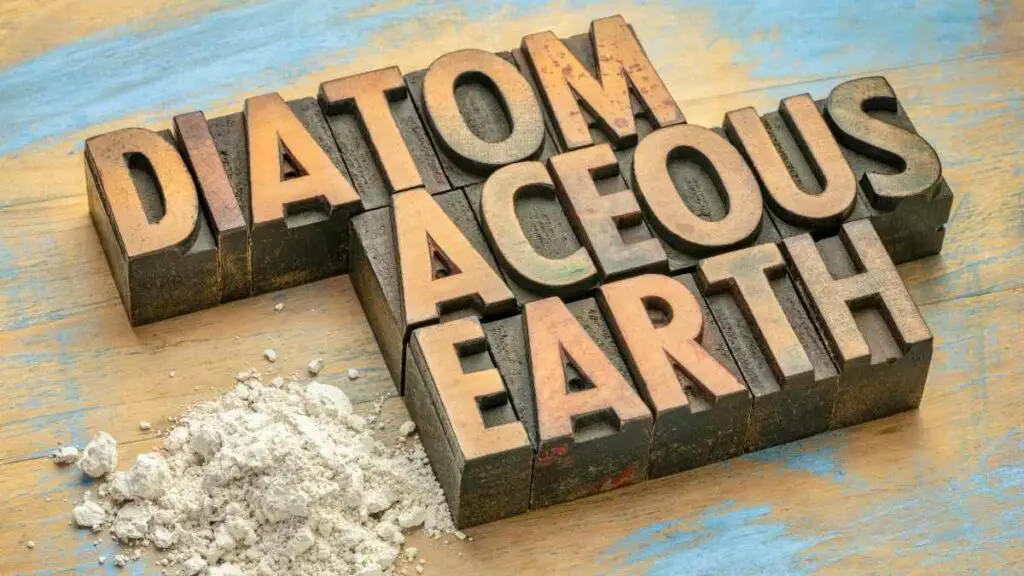 Diatomaceous Earth