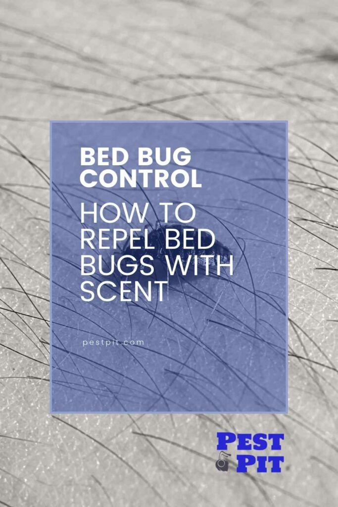 How to Repel Bed Bugs with Scents