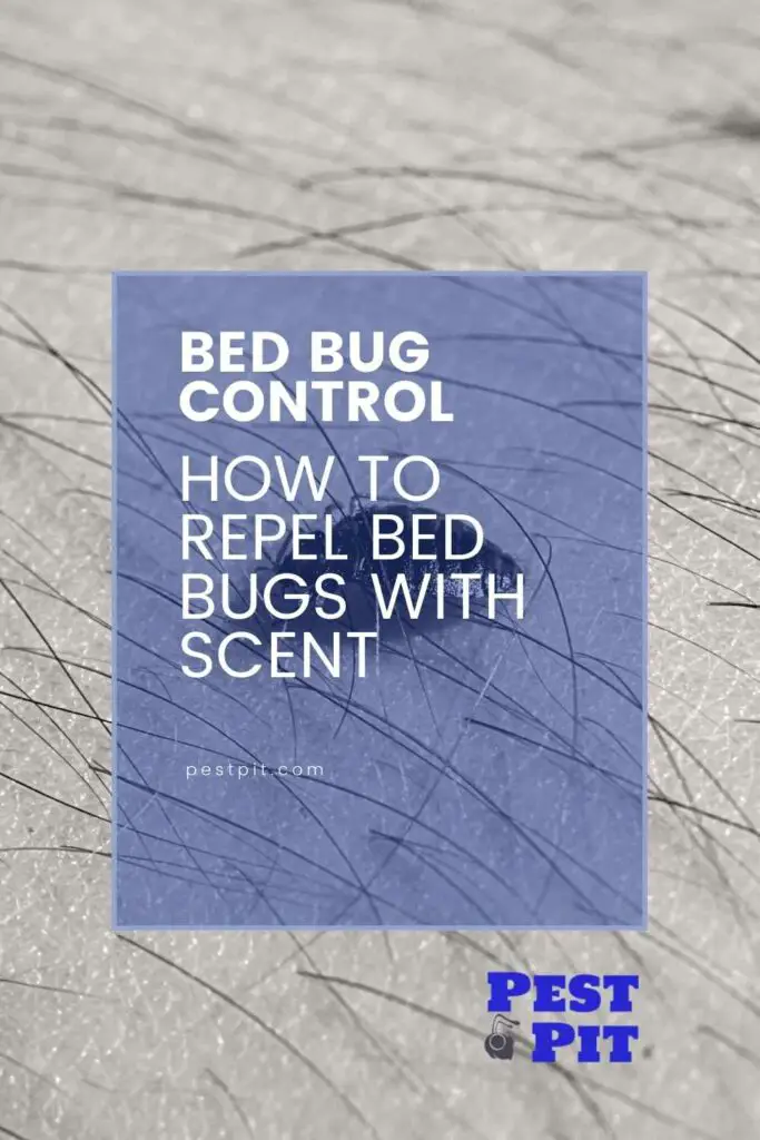 How To Repel Bed Bugs With Scent The Best Scents For Repelling Bed Bugs Pest Pit