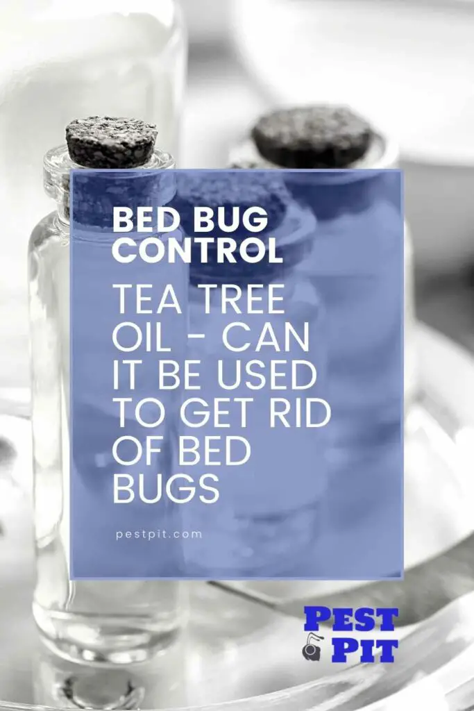 Tea Tree Oil - Can It Be Used To Get Rid Of Bed Bugs